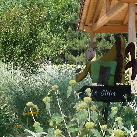 Villa Gina Zero Branco エクステリア 写真